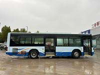 Autobús de Lujo Diésel Euro 3 con Volante a la Derecha, Manual, Usado, para Turismo, Amplio y Confortable, para Eventos Empresariales y Excursiones de Larga Distancia