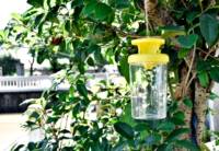 Buiten hangende tuin insectenvanger van duurzaam, milieuvriendelijk PP plastic voor wespen, bijen, vliegen, termieten en andere insecten.