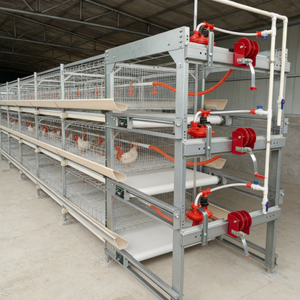 Équipement d'élevage avicole automatique 3 niveaux 60 poulets, cage à batterie <span class=keywords><strong>pour</strong></span> poulets de chair et poules pondeuses - Product Image 2