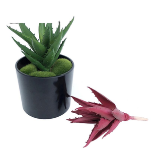 Piante Artificiali All'Ingrosso, Fiori Decorativi per Casa, Fornitori all'Ingrosso, <span class=keywords><strong>Bonsai</strong></span> Floreali Succulenti 2026, Economici <span class=keywords><strong>Online</strong></span> - Product Image 1