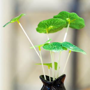 30ml ceramica decorazione per la casa fragranza olio fiore diffusore profumato deodorante per ambienti Private Label <span class=keywords><strong>profumo</strong></span> per regalo - Product Image 6