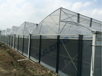 Serre commerciale en film à dents de scie, excellente ventilation naturelle, kit complet de serre agricole pour tomates et fraises