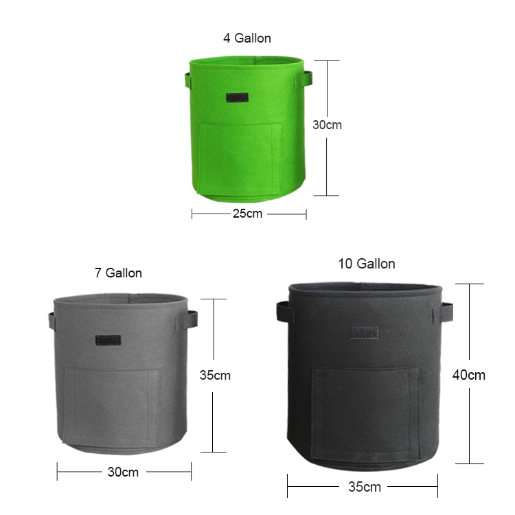 bags for growing mushroom