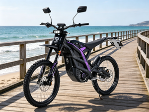 <span class=keywords><strong>Moto</strong></span> électrique tout-terrain 79 Bike Falcon Pro L1E homologuée pour la route 72V COC 79bike - Product Image 2
