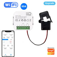 Compteur d'énergie bidirectionnel WiFi Tuya à double canal 80A, application de surveillance en temps réel de la consommation d'énergie, AC100-240V, fonctionne avec Tuya