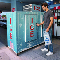 Congélateur commercial pour glace en sacs Mr Frio, compresseur Danfoss, acier peint, réfrigérant R290, certifié CE, garantie 1 an