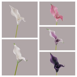 Bouquet de lys artificiels CallaFloral, blanc, rose, rouge, violet, en plastique, décoration intérieure, arrangement de mariage - Product Image 3