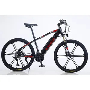 Etiqueta escondida/27, liga de alumínio 26 polegadas, bateria escondida/motor de 36v350w de alta velocidade/três camadas de cozimento, pintura bicicleta de velocidade