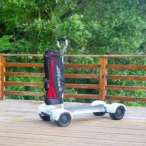 Importação da china fornecedores baratas verificados suportam no atacado carrinho de golfe scooter