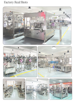 Machine d'emballage entièrement automatique aseptique à double buse à flux laminaire pour sachets de lait pasteurisé