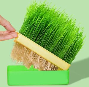 Baki Bibit Plastik Tahan Lama untuk Microgreens dan Budidaya Hidroponik (18x8x4.4 Cm) - Product Image 6