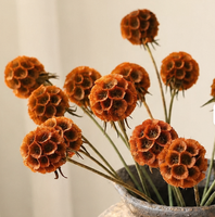 Fleur de Scabiosa Stellata teintée et stabilisée en forme de coussin de fleurs, pour l'été éternel, les vases, les bouquets de mariage, la Fête des Mères, Pâques, Noël
