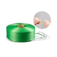 Wholesale Customization 1000D Polypropylene Filament Yarn Waterproof & High Tenacity Is Suitable for Watch Straps FDY pp Yarn