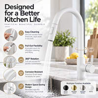 Vente directe transfrontalière fabricant : Évier de cuisine moderne et simple en alliage, avec robinet extractible chaud/froid à double sortie, en céramique
