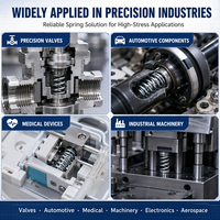 ISO Certified Custom Steel Spring Non-Standard Precision Compression Spring