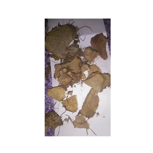 Varahikand Yam amer Varahi Kand pomme de terre igname herbes crues vente en gros d'extrait de plante produit à base de plantes Varahi Kand poudre - Product Image 6