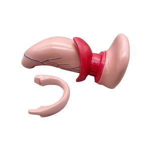 アナルリング、動脈直腸および静脈内アクセスZM1074 2倍に拡大 - Product Image 4