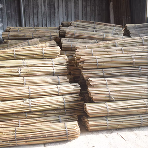 Commercio all'ingrosso Tokin canne di bambù pali pali di bambù grezzo pali di bambù giganti canne di bambù per il giardino graticcio staffa recinzione - Product Image 2