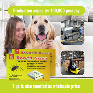 Özelleştirilmiş katlanabilir karton hamamböceği tutkal tuzağı ev restoran beyaz tünel cazibe hamamböceği tutkal tuzağı ev - Product Image 4