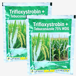 Trifloxystrobin Tebuconazole 75% WDG Tebuconazole 50+ Trifloxystrobin 25 Fungicida Tebuconazole Trifloxystrobin per l'Agricoltura - Product Image 2