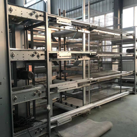 Cage de couveuse de volaille type, convient également pour la mise à jour automatique des œufs