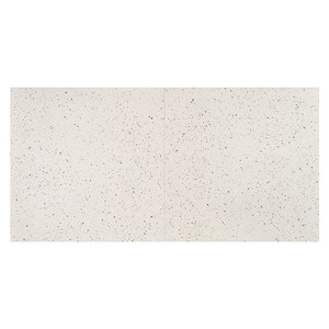 Baldosa de terrazo color crema Lucca de 60x60 cm para uso en pisos y paredes - Product Image 3