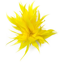 Gros Plume Corsage Tête Fleur Vêtements Coiffe Broche Plume D'oie Quill Fleur DIY