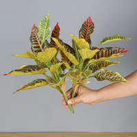 Plante artificielle en pot, feuille d'alocasia, décoration intérieure et maison, petit bonsaï en plastique, Planta Artificial à vendre
