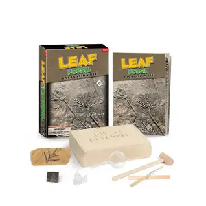 Weitere Lelzspielzeuge Vorschul-Lelzspielzeug-Set Edu-Werk-Lelzspielzeug für den frühen Lernstil 6 sortiertes Blatt-Fossil-Dig-Kit für Kinder