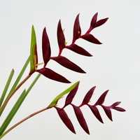 Bunga Bird of Paradise Buatan dari Karet Lunak, Tangkai Tunggal, Tanaman Tropis untuk Dekorasi Showroom, Hotel, Pernikahan