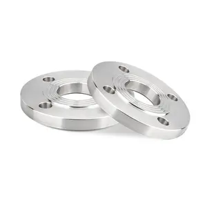 Stainless Steel Non-standard Flange