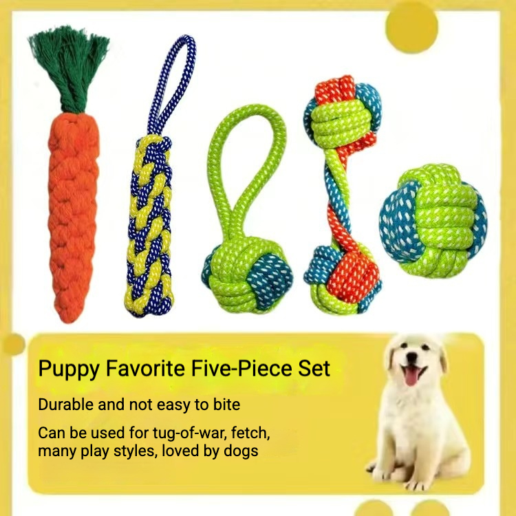 Ensemble de cinq pièces préféré du rouge/chien