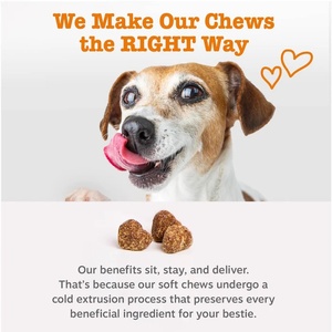 Probiotiques immunitaires contre les allergies pour chiens, marque privée OEM/ODM, multivitamines, friandises molles, protéines, suppléments pour animaux de compagnie, vitamines pour les hanches et les articulations - Product Image 6