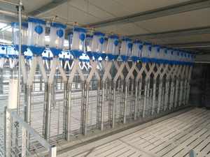 Barre de rail fixe d'élevage pour truies - Product Image 6