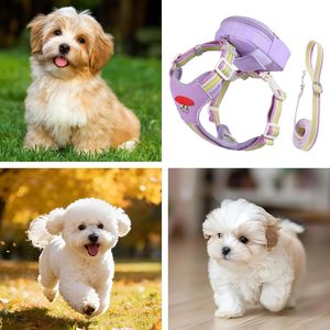 Sac à dos pour animaux de compagnie en nylon rembourré pour l'extérieur avec boucle à dégagement rapide pour petits chiens - Product Image 6
