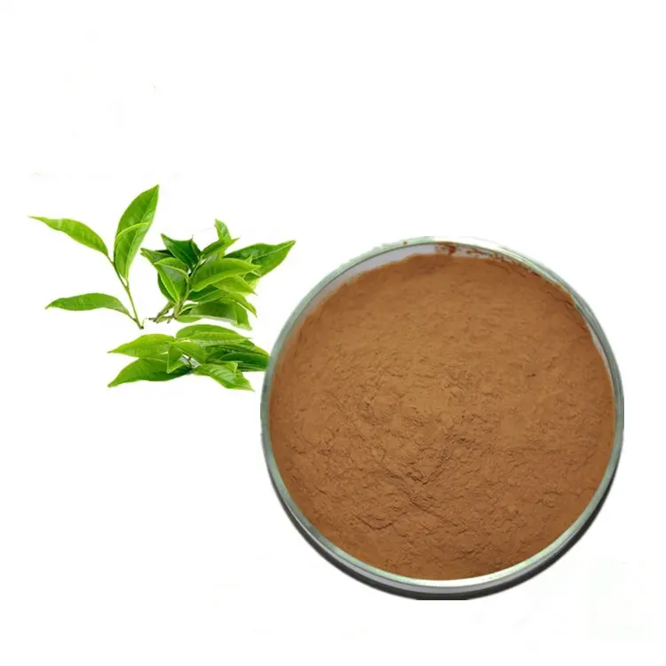 Xuhuang Free Sample Natural Green Tea Polyphenols 90% Green Tea Extract Powder