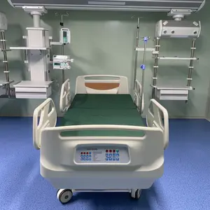 Control Box Lease Paramount Patiënt Prijs Hospit Bed Batterij Cradle Bijzettafel Kinderen Elektrische Ziekenhuis Bed Rvs