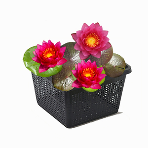 Pack Super Économique : Tuber de Nymphaea <span class=keywords><strong>James</strong></span> Brydon Hardy Water Lily et Panier Aquatique Pro - Product Image 1