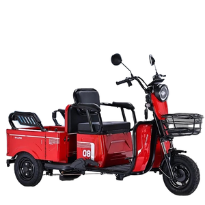 Triciclo Elettrico Falcon per Trasporto Merci, <span class=keywords><strong>Carrozzeria</strong></span> Aperta, Carico Utile 300-400kg, 2 Passeggeri, Alimentato a Batteria 48V, Autonomia 30-50km, Velocità 30km/h - Product Image 1