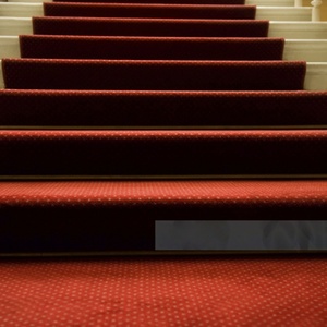 <span class=keywords><strong>Tapis</strong></span> <span class=keywords><strong>rouge</strong></span> ignifuge B1 antidérapant sur mesure pour événements, <span class=keywords><strong>tapis</strong></span> commercial pour hôtel, <span class=keywords><strong>tapis</strong></span> de couloir long sur mesure - Product Image 2