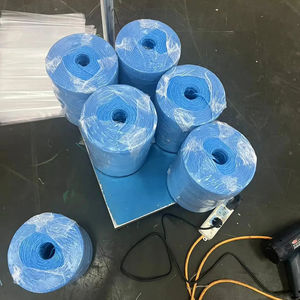 Vente chaude, corde en PP bon marché, 500 m/kg, <span class=keywords><strong>noir</strong></span>, jaune, bleu, ficelle pour bananes - Product Image 1