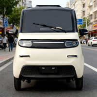 Venta Especial: Mini Auto Eléctrico Barato de 4 Ruedas para Una Persona