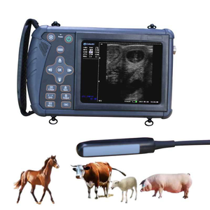 Machine portative de diagnostic de <span class=keywords><strong>grossesse</strong></span> bovine pour la détection précoce pour la surveillance de la <span class=keywords><strong>grossesse</strong></span> de porc de chien - Product Image 4
