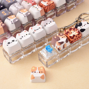 Lindo Llavero con Diseño de Gato, Juguete Antiestrés con Cuatro Cabezas de Gatitos Coloridas en Estuche Transparente para Niños y Adolescentes - Product Image 5