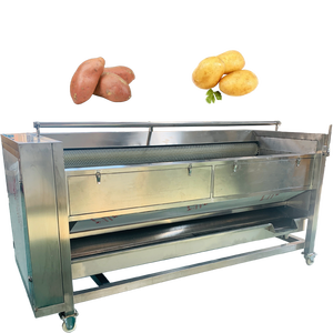 Máquina de Alta Calidad para Limpieza de Frutas y Verduras con Raíz de Loto y Yema de Castaña, Ideal Antes y Después de la Pelado Químico o con Vapor - Product Image 5