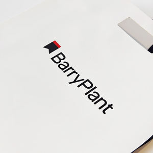 Sacs en papier personnalisés de qualité supérieure, sacs cadeaux de luxe pour bijoux, sacs de shopping avec ruban et logo privé imprimé, en carton - Product Image 6