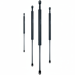 C 350 Carrera F 700 N CILINDRO OLEOPNEUMÁTICO (VO35/070) - Product Image 1