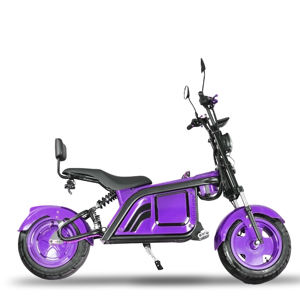 Scooter Eléctrico Leon al Precio Más Bajo de Fábrica para Adultos, 2000W - Product Image 6