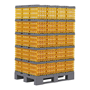 Hệ thống Pallet trứng nhựa an toàn và hiệu quả chi phí cho việc vận chuyển trứng - Product Image 2