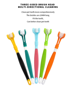 Brosse à <span class=keywords><strong>dents</strong></span> pour animaux de compagnie en plastique écologique, moderne et classique, multicolore, 3 faces, 360 degrés, pour l'hygiène buccale des chiens, vente en gros d'usine - Product Image 6